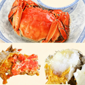 Fresh Live Chinese Mitten Crab
